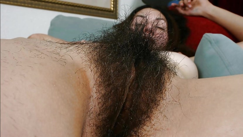 The most hairy female pubis