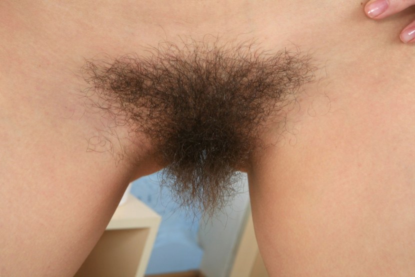 Beautiful hairy female pubis