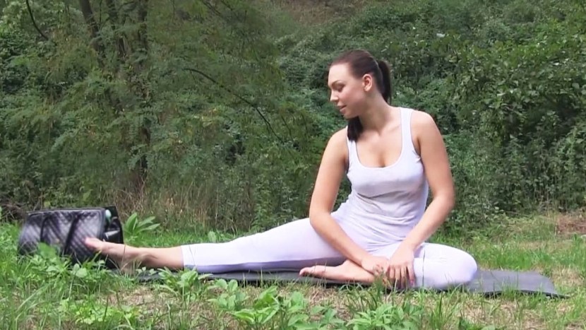 Public Agent 2 Sisters