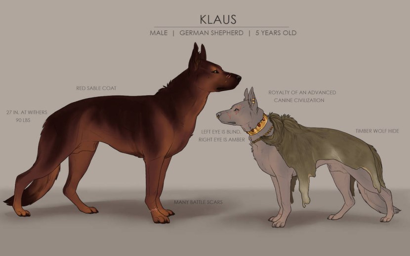 Antro is a golden retriever