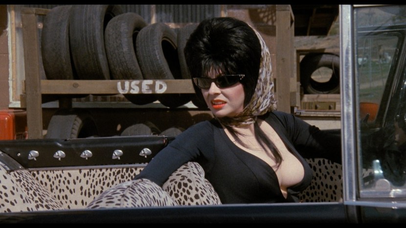 Elvira Lord of Darkness