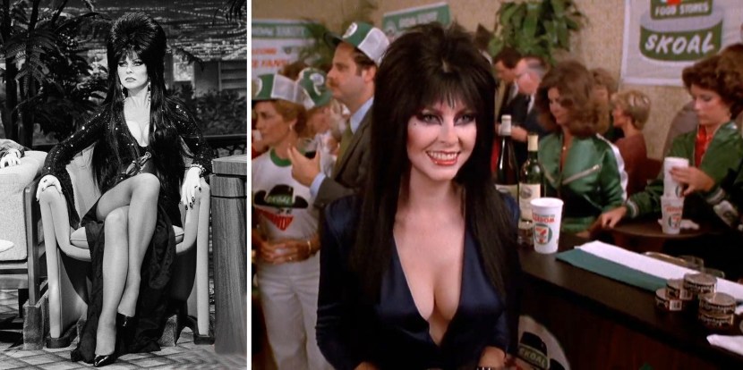 Elvira Lord of Darkness Film 1988