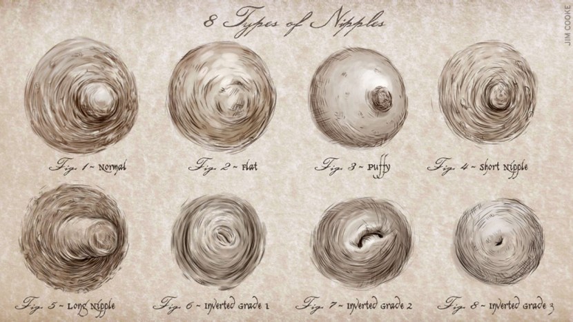 Types of nipples in women