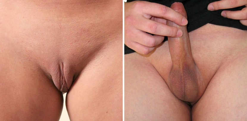 Naked beauties with an intimate haircut