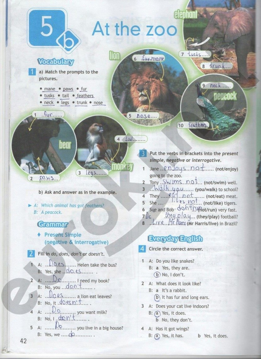 English grade 5 workbook Spotlight 42 p