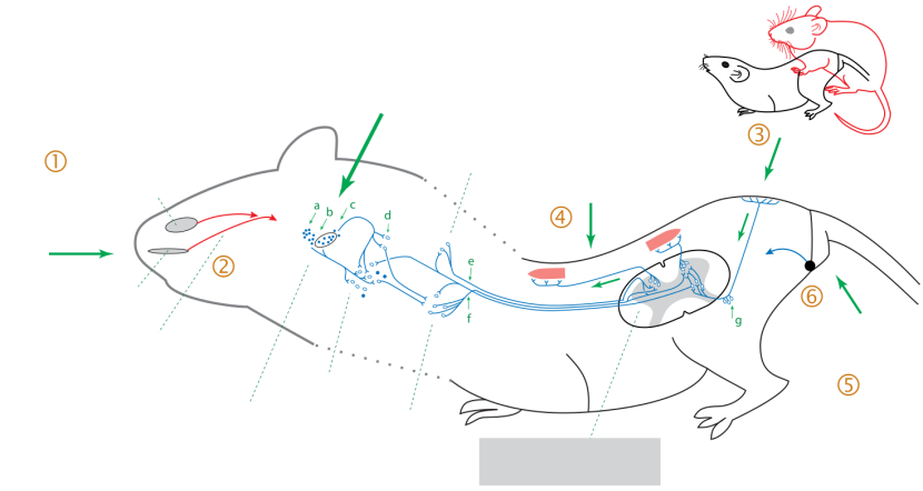 Final Fantasy 7 Remake Tif