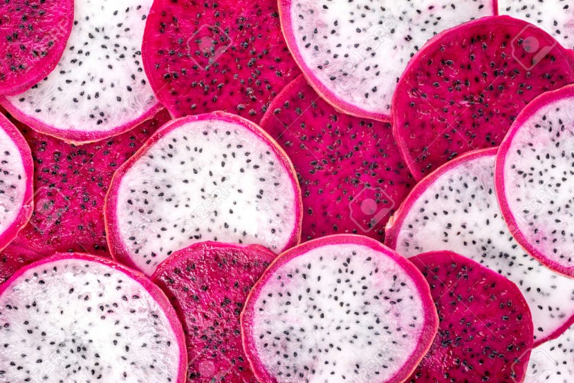 Aloe Vera on a white background