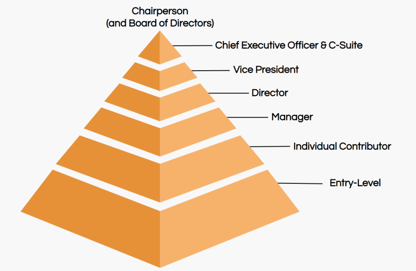 Chief Executive Officer Hierarchy