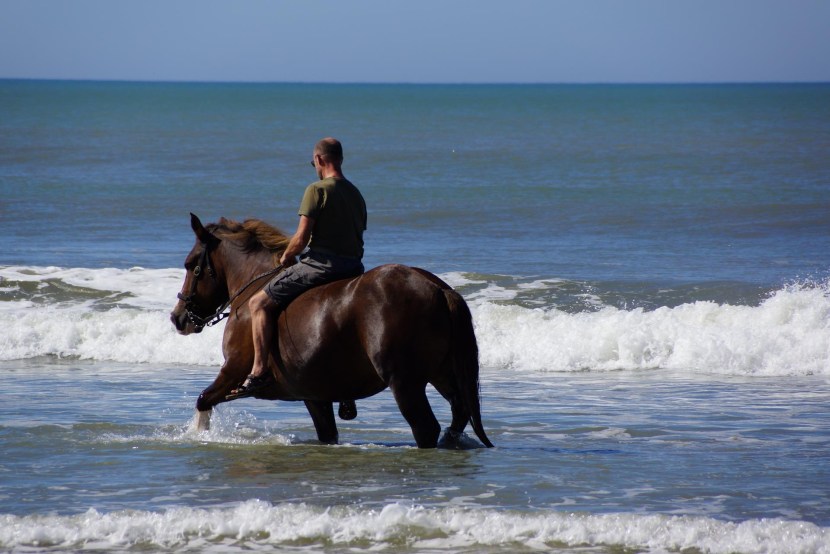 Children at sea sunbathe girls