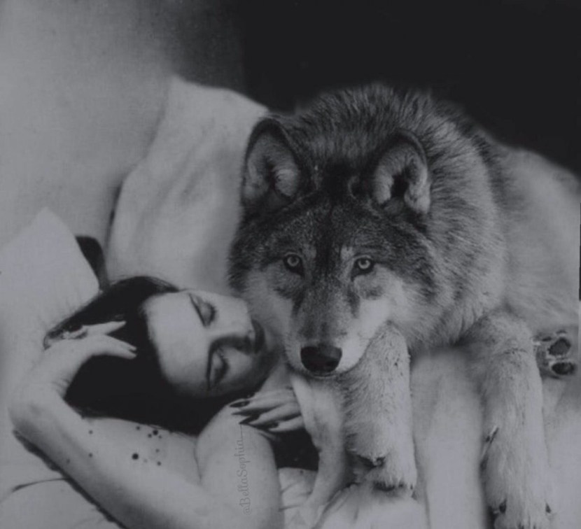 In the arms of the wolf