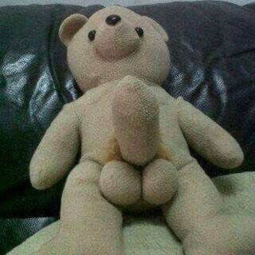 Pluture bear with phalloimitator