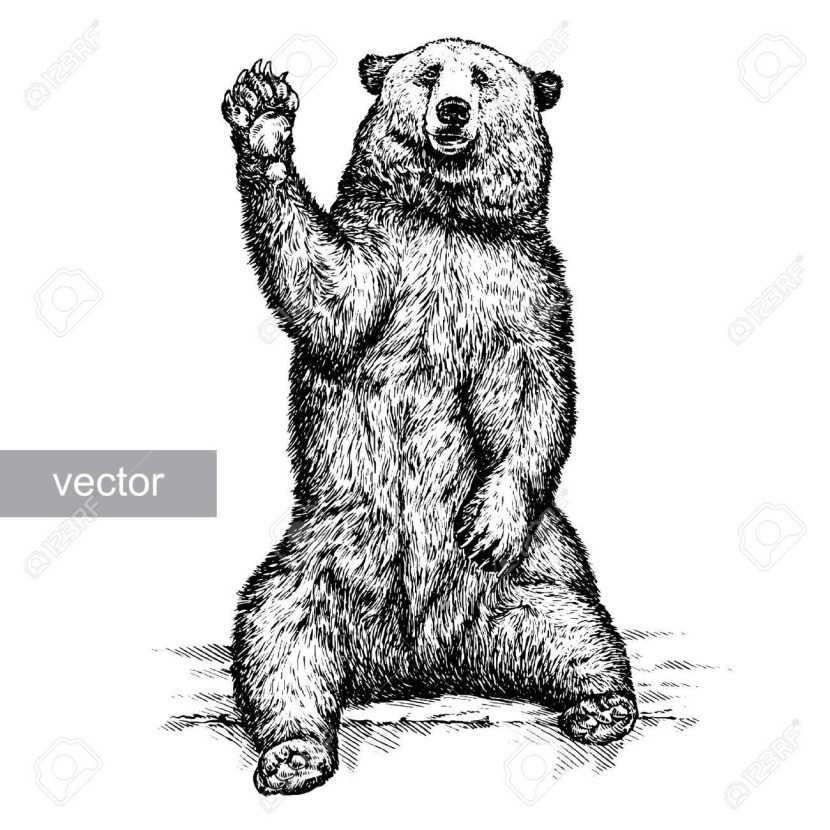 Photo shoot Bear Stepan Maria Fetisova