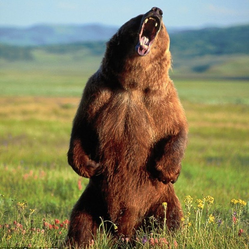 Blonde by the fireplace