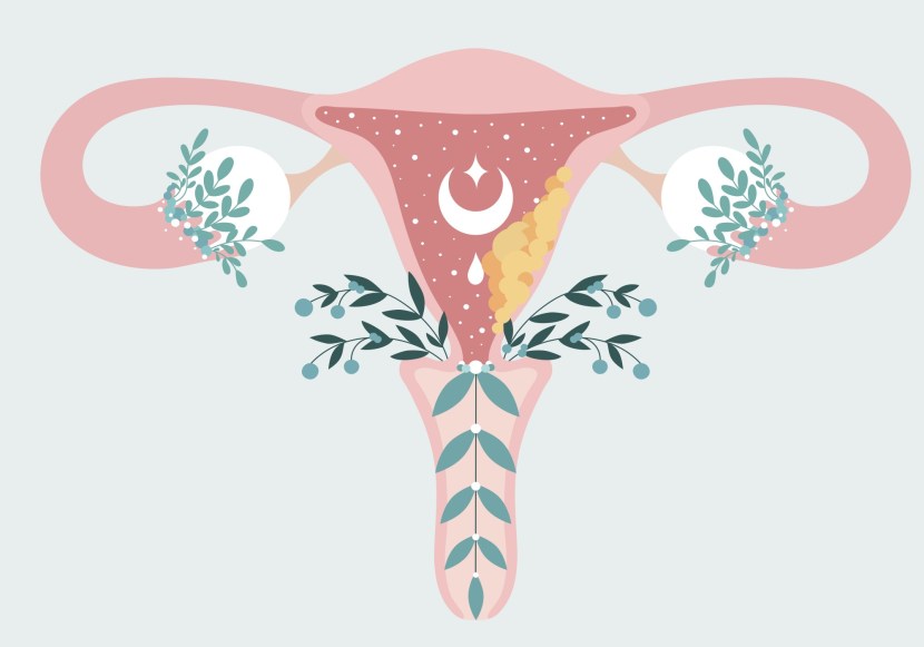 Group of women of middle age