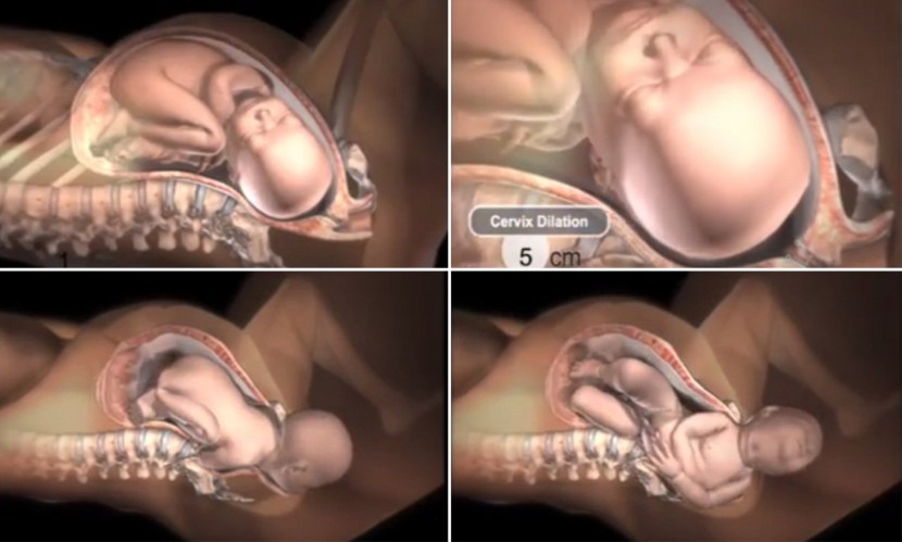The camera inside the vagina