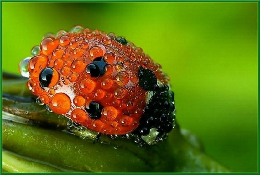 Yashin Anastasia Sergeevna