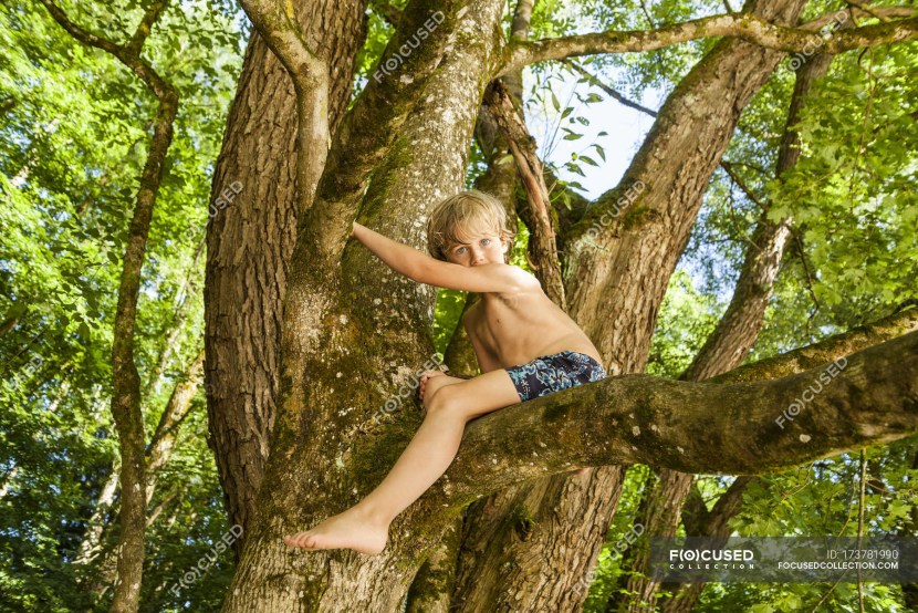 Separate women on a tree