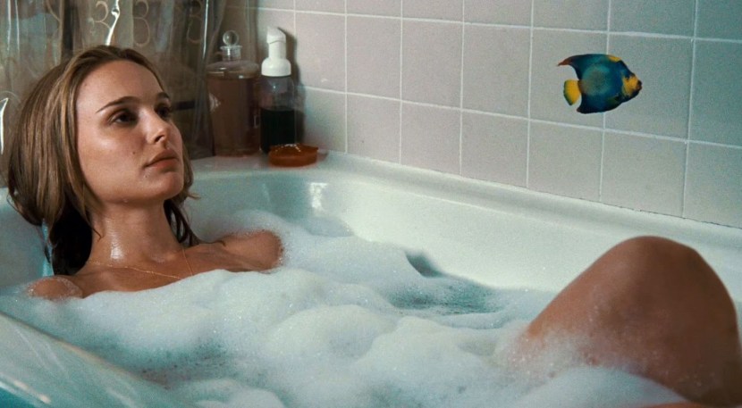 Cauret Step Brother Brother