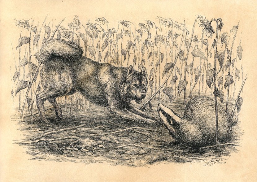 Do you Listen to Girl in Red Poster