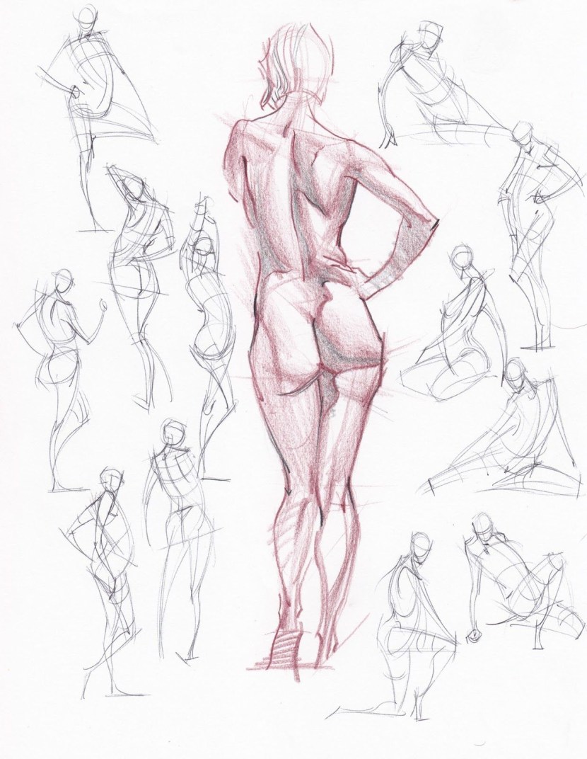 References of the female figure anatomy