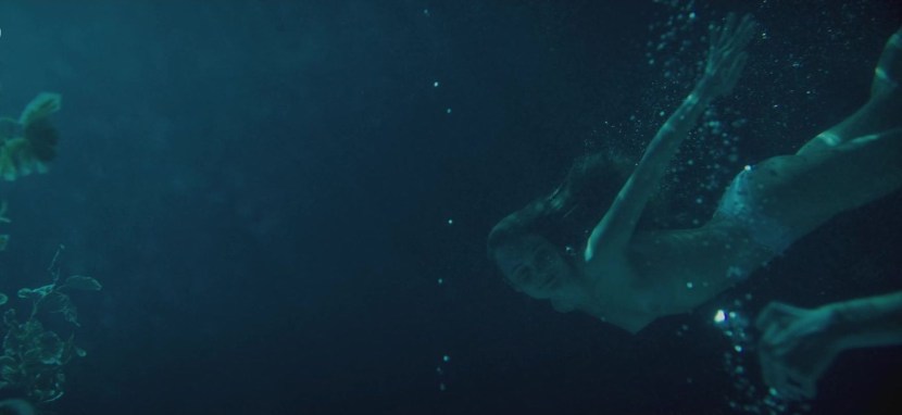 Award on a white background