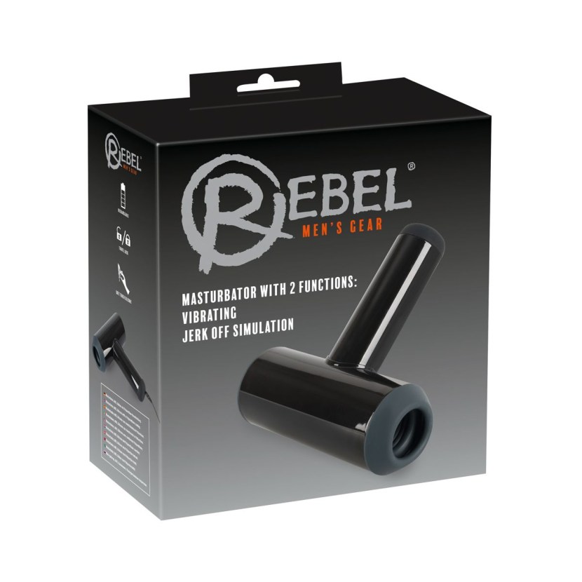 The girl mastered the guy dick