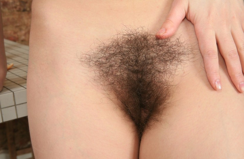 Beautiful hairy female pubis