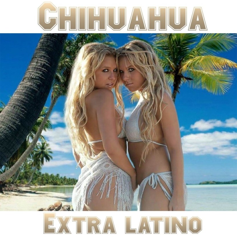 Models Timofeeva Gemini