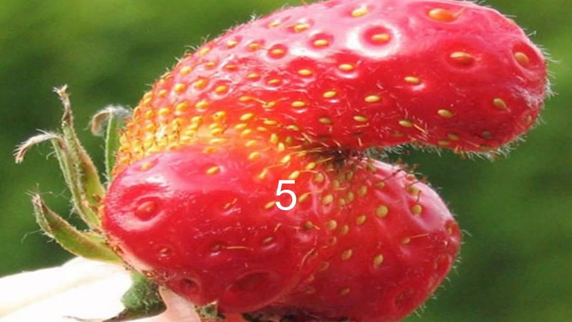 Lisa Strawnichkin drain