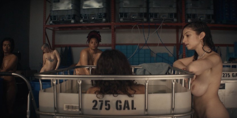 Sidney Meyer Naked Tits