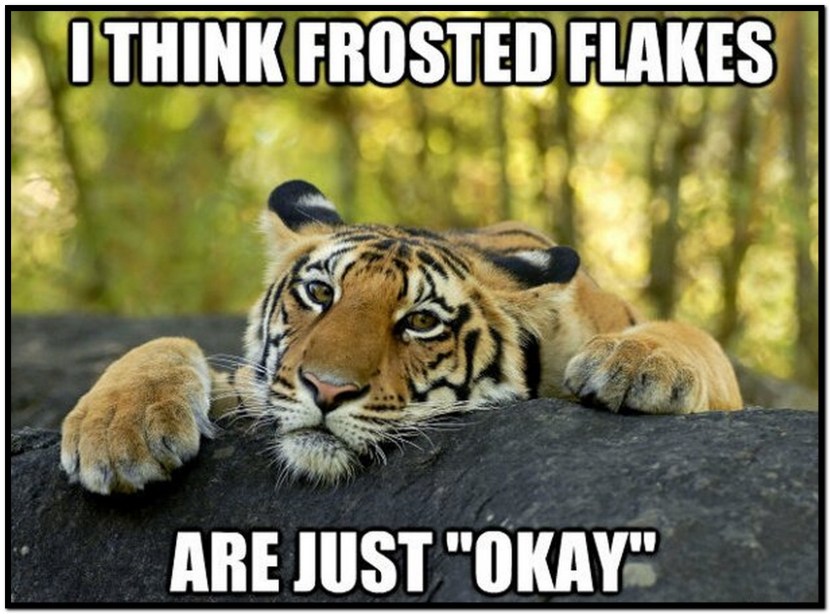 Big Brother Lisa F95