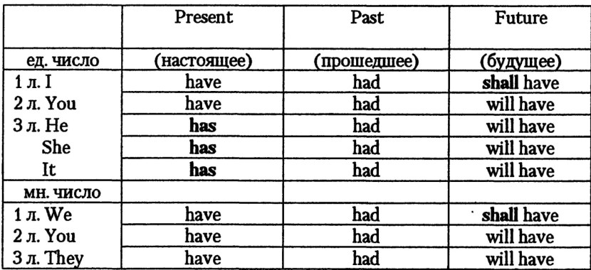 Verb Have in English table