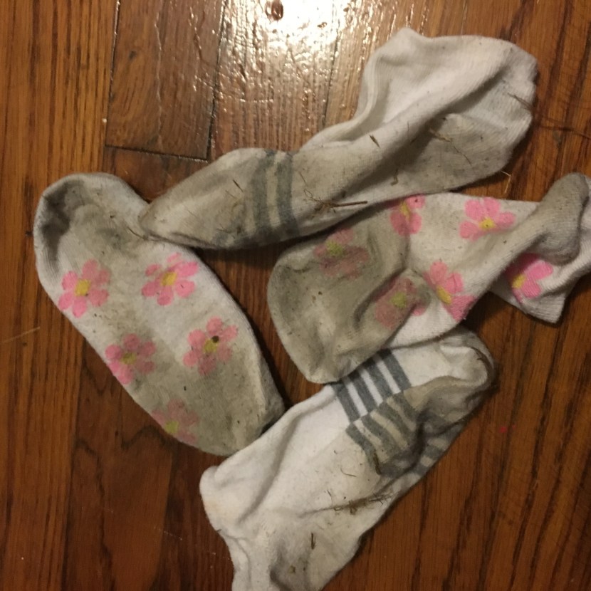 Dirty female socks