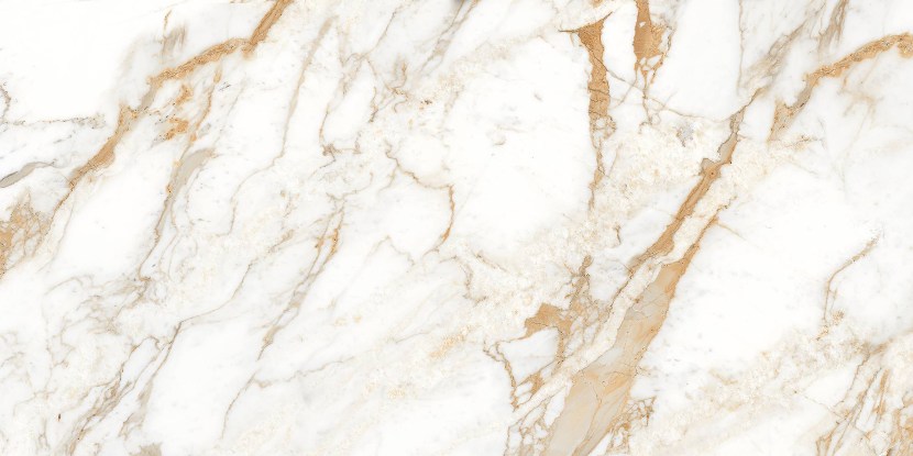 XXX countries people all countries