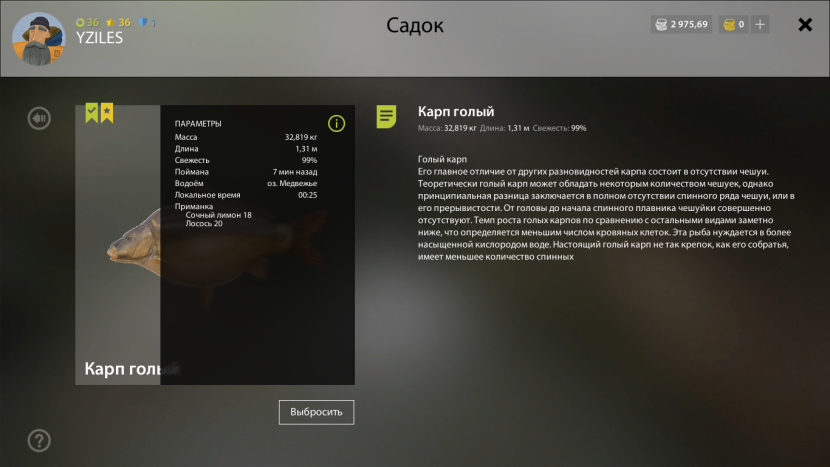 About Fedot-Striker Uzatykoy Marty Cartoon