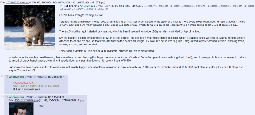 Anastasia Anikina on Bali