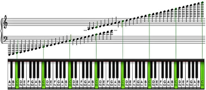 Notes on the keyboard of the synthesizer 61 key