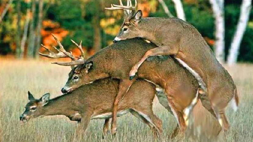 Maria Berseneva in the film loot