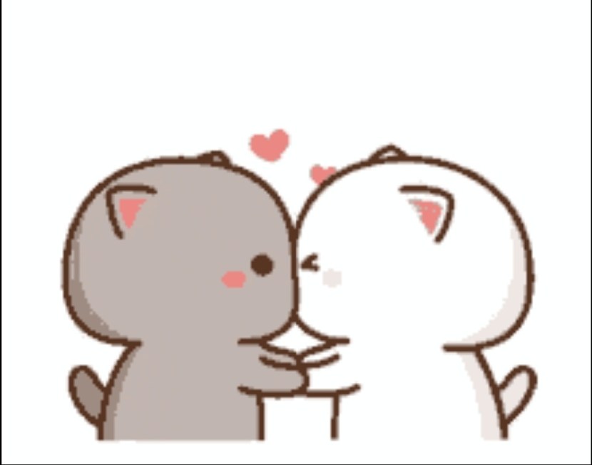 Kawaii cats love
