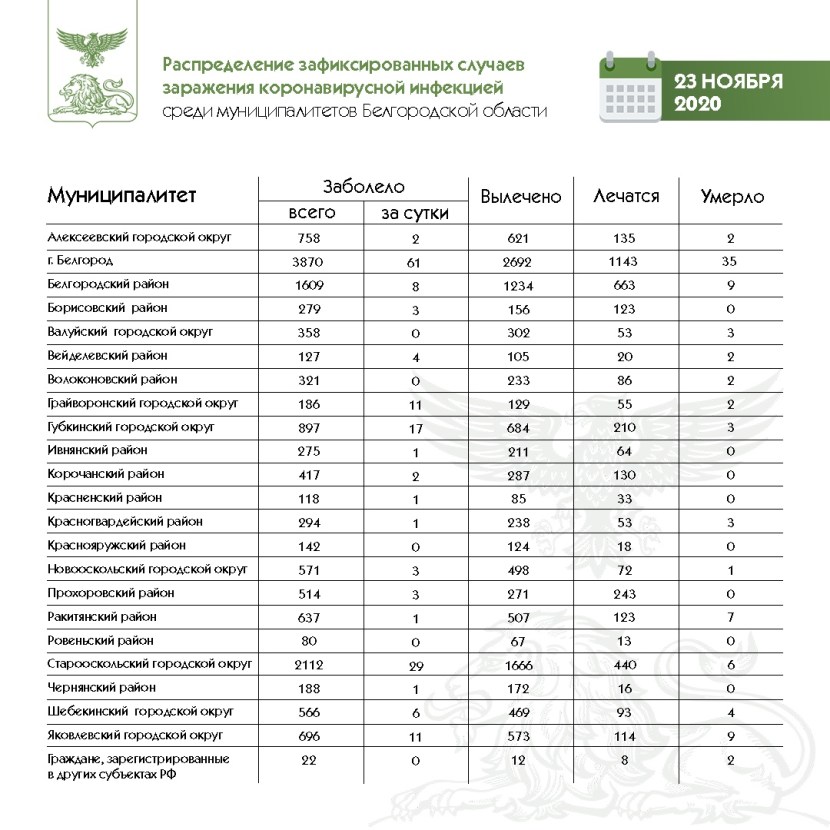 Coronavirus statistics in the Belgorod region