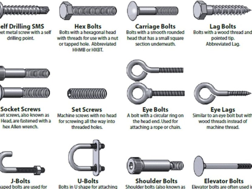 The world's largest baolt