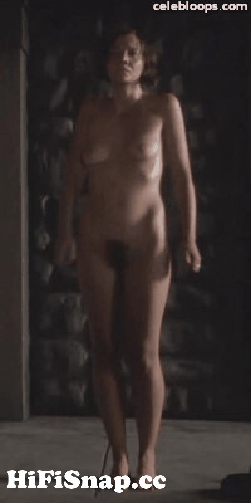 Maggie Gyllenhaal nude