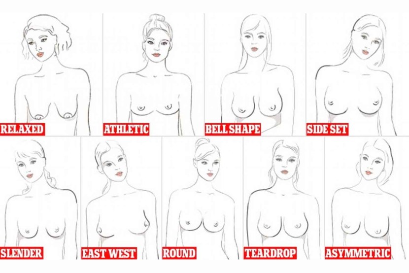 Tits of all shapes and sizes