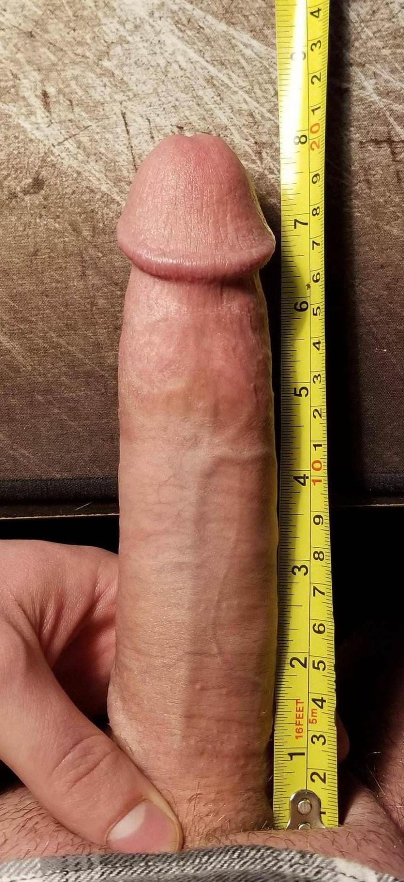 Male member with a ruler 13cm