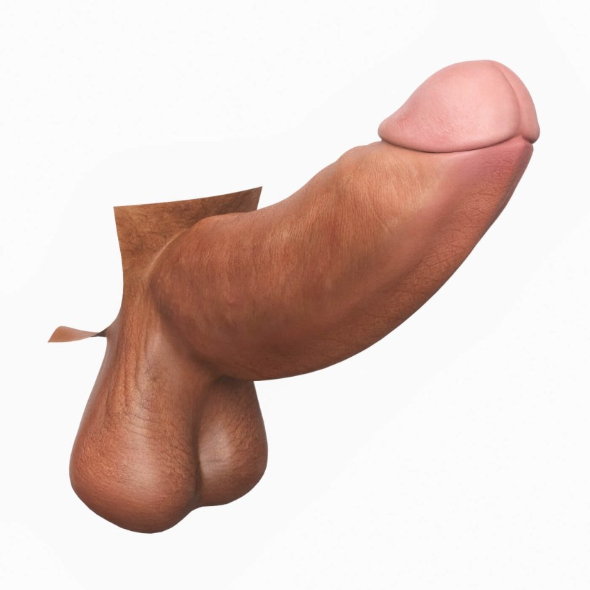 Realistic Dick Penis 3D Model