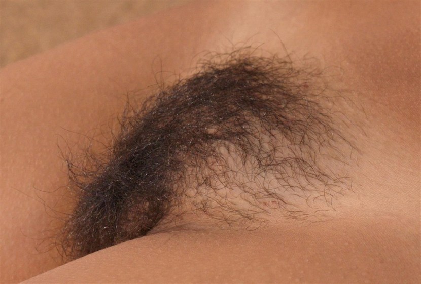 Female pubic hair