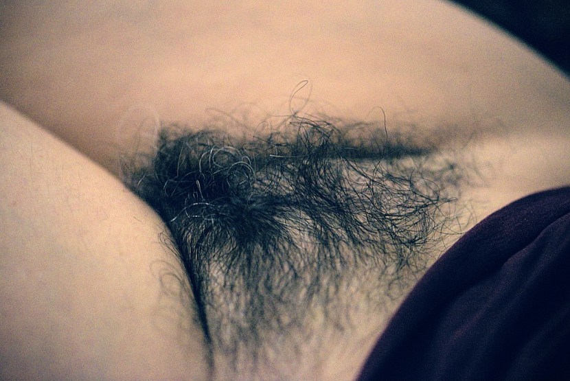 Female pubic hair photo - photo pictures
