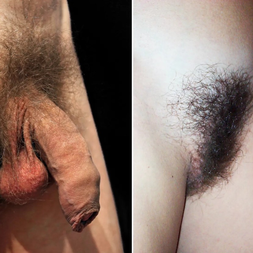 Pubic hair in men
