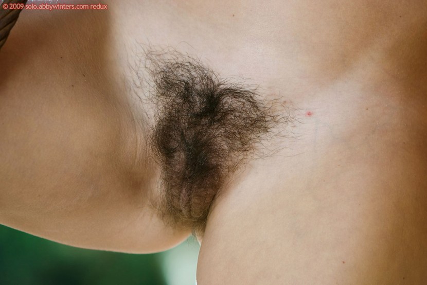 Beautiful hairy pubis