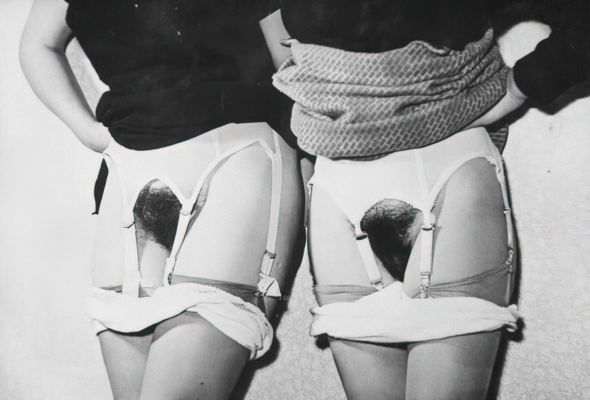 Hairy retro panties